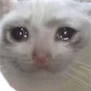le_cry