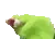 meme009gif