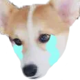 haengcry