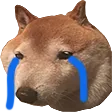 Sad_Jammy