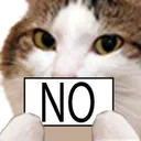 catNo