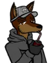 sip