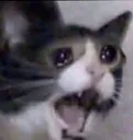 CRI CRI