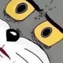 Cat Wtf catwtf Discord Emoji