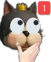caitpinghmm caitpinghmm