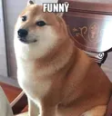 funny funny