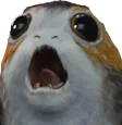 HG_PorgScream