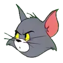kavo2