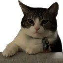 nanitrade Discord Emoji