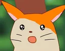 wowtaro