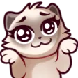 loeyaSHRUG