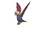 brav brav