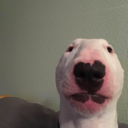Walter Discord emoji