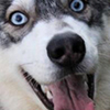 :whatthefuckishappening: Discord Emote