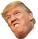 orangeturd