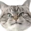 maucringe