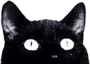 peakcat