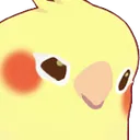 birbwhat