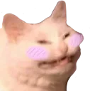 catblushing catblushing