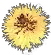 artifact_nightstar artifact_nightstar