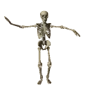 skellyton