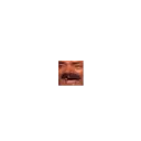 MINIKEKW