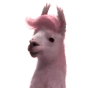 Llama