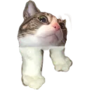 nanipeets Discord Emoji