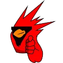 coolbirb