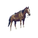 RoachSpin