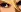 TerryEyes