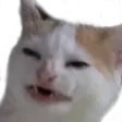 whytho