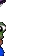 PepeZoomin