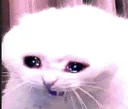 suffer suffer