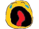 cry