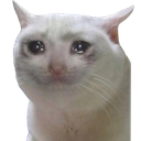 sorrowful Discord emoji