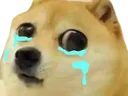 dogecry