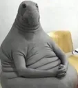 Zhdun Zhdun