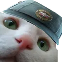 Anothercat