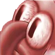 WokeAF WokeAF