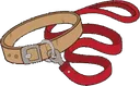 LEASH