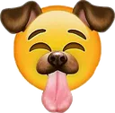 DOGFACE