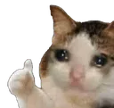 thumbup