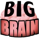 rBigBrain