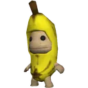 cos_psp_sacknana