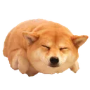 goodboi