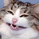 ahahawhat Discord Emoji