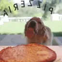 DoggoPizzaLick