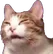 catDisgusting Discord Emoji
