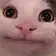 Cat Ok catok Discord Emoji